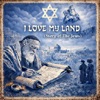 Cover art for I Love My Land (Story of The Jews) - Single by Matisyahu