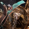 Cover art for The Rust Belt - Single by Matmos