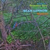 Cover art for Summer Sun (Sean Ono Lennon Remix) - Single by Matt Berry