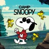 Cover art for Ice Water (From "Camp Snoopy") - Single by Mayer Hawthorne