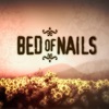 Cover art for Bed of Nails - Single by Meg Washington