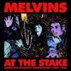 Cover art for At the Stake: Complete Atlantic Recordings 1993-1996 by Melvins