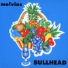 'Bullhead' by Melvins