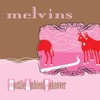 Cover art for Hostile Ambient Takeover by Melvins