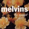 Cover art for The Maggot by Melvins