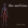 Cover art for Freak Puke by Melvins