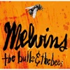 Cover art for The Bulls & the Bees / Electroretard by Melvins