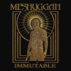 'Immutable - The Indelible Edition (2025 Remastered)' by Meshuggah