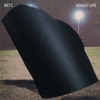 Cover art for Split - Single by METZ