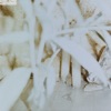 Cover art for Winnipesaukee - Single by Model/Actriz