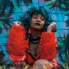Cover art for Newtown Chips - Single by Moonchild Sanelly