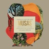 Cover art for Musas (Un Homenaje al Folclore Latinoamericano en Manos de Los Macorinos), Vol. 2 [feat. Los Macorinos] by Natalia Lafourcade
