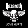 Cover art for Love Hurts (Rerecorded) - Single by Nazareth