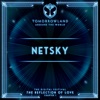 Cover art for Tomorrowland Around The World 2020: Netsky (DJ Mix) by Netsky