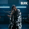 Cover art for Sve Bih - Single by Nikolija