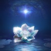 Cover art for Opus - Single by Ninajirachi