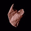 Cover art for Adjacent Heart - Single by Obongjayar