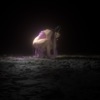 Cover art for SGSY - Single by Oklou