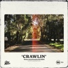 Cover art for Crawlin' - Single by Old Mervs