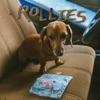 Cover art for Rollies - Single by Old Mervs