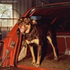 Cover art for What You've Lost - Single by Old Mervs