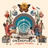 Cover art for Artificial Paradise (Super Deluxe) by OneRepublic