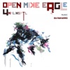 Cover art for 4NML HSPTL by Open Mike Eagle