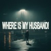 Cover art for WHERE IS MY HUSBAND! - Single by Our Last Night