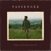 'Keep on Walking Mr Fry - Single' by Passenger