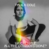 Cover art for Where Have All The Cowboys Gone? (DEMO) - Single by Paula Cole