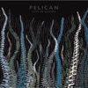 Cover art for City of Echoes (Deluxe Edition) by Pelican