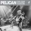 Cover art for For Your Entertainment - EP by Pelican