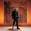 Cover art for Mi Suerte Es Ser Mexicano by Pepe Aguilar