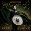 Cover art for Mi Suerte Es Ser Mexicano II by Pepe Aguilar