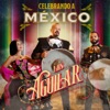 Cover art for Celebrando a México - EP by Pepe Aguilar