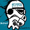 Cover art for Stormtrooper (Kona Town Revisited) - Single by Pepper