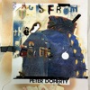 Cover art for Flags of the Old Regime - Single by Peter Doherty