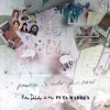 Cover art for Paradise Is Under Your Nose (Radio Edit) - Single by Peter Doherty