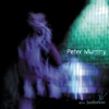Cover art for Alive Justforlove (Live) by Peter Murphy