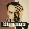 Cover art for All Night Long - Single by Peter Murphy