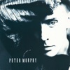Cover art for Cuts You Up - Single by Peter Murphy