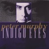 Cover art for Indigo Eyes - Single by Peter Murphy