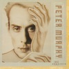 Cover art for Love Hysteria by Peter Murphy