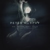 Cover art for Mr. Moonlight Tour - 35 Years of Bauhaus (Live) by Peter Murphy