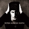 Cover art for Ninth by Peter Murphy