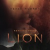 Cover art for Remixes from Lion by Peter Murphy