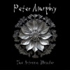 Cover art for The Artroom Wonder - Single by Peter Murphy