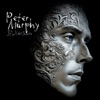 Cover art for Silver Shade by Peter Murphy