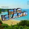 Cover art for Big Island - Single by Pet Symmetry