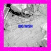 Cover art for Big Wish by Pet Symmetry